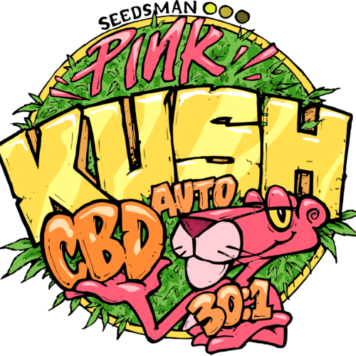 Pink Kush CBD 30:1 Auto Feminised Seeds