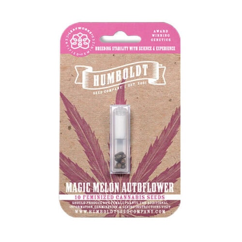 Magic Melon Auto Feminised Cannabis Seeds by Humboldt Seed Co.