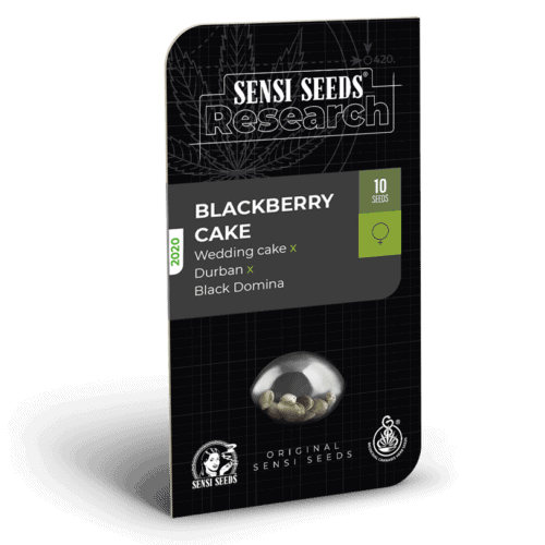 Blackberry Cake Feminised Seeds