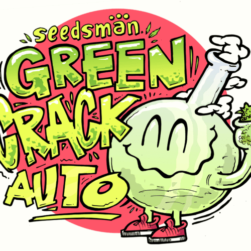 Green Crack Auto Feminised Cannabis Seeds by Seedsman