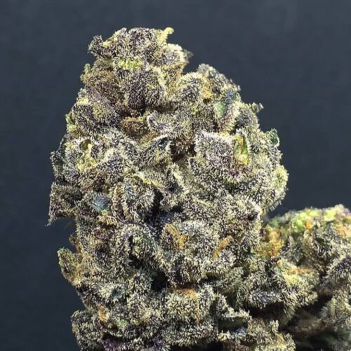 Wedding Cake Feminised Seeds
