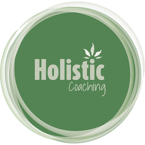 Coach Sportif Toulouse – Holistic-Coaching – Vincent Bonis