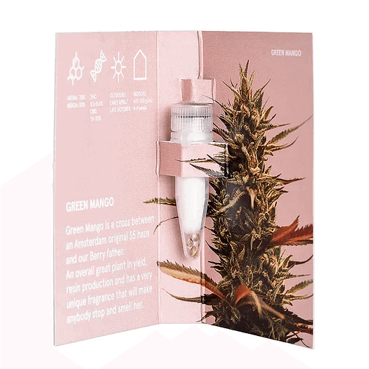 Strawberry Cake CBD Feminised Seeds - Image 2