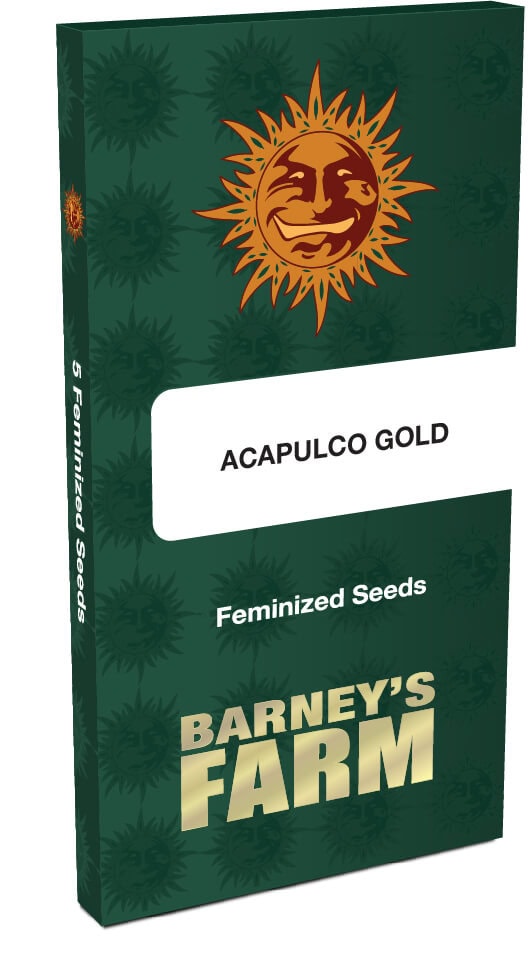 Acapulco Gold Feminised Seeds - Image 2
