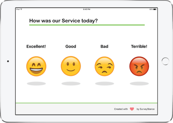 iPad Survey App -