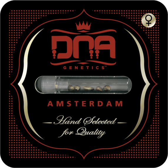 DNA Genetics