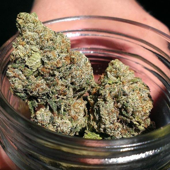 Headband Feminised Seeds