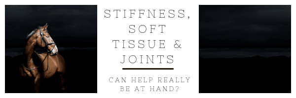 Hi Form Stiffness, Soft Tissue and Joints