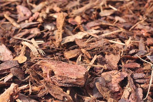 Rindenmulch satte Farben