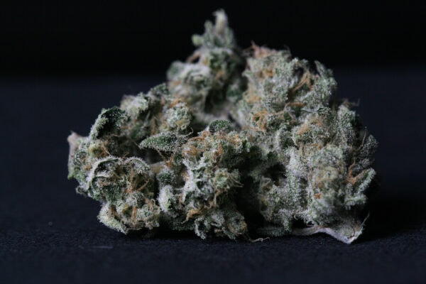 A-Train Feminised Cannabis Seeds by T.H. Seeds