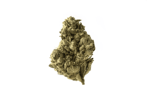 Strawberry Glue Feminised Seeds