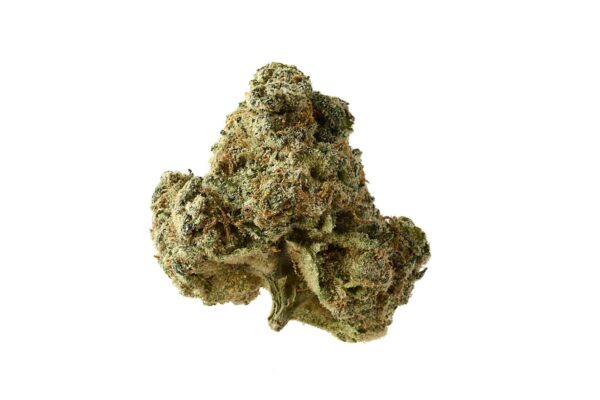 AK OG Kush Feminised Cannabis Seeds by Amsterdam Genetics