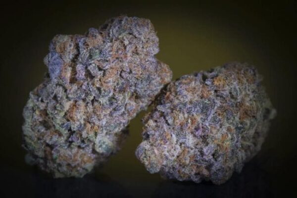 Purple Mints Feminised Cannabis Seeds by Paradise Seeds