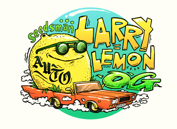Larry Lemon OG Auto Feminised Cannabis Seeds by Seedsman