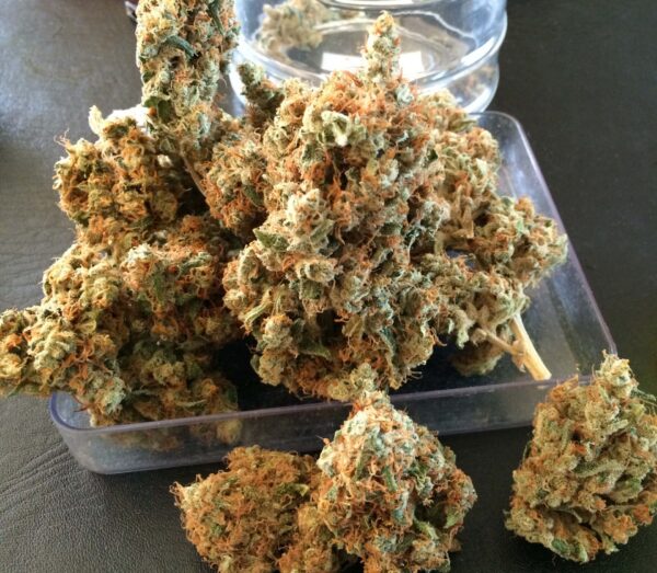 Chicle aka BubbleDawg Feminised Seeds - Image 5