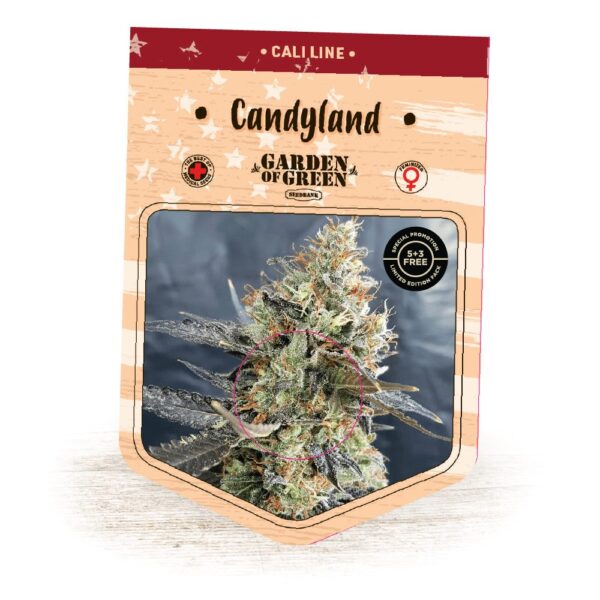CandyLand Feminised Cannabis Seeds by Garden Of Green
