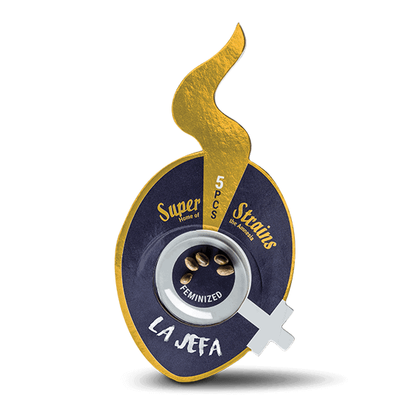 La Jefa Feminised Seeds - Image 2
