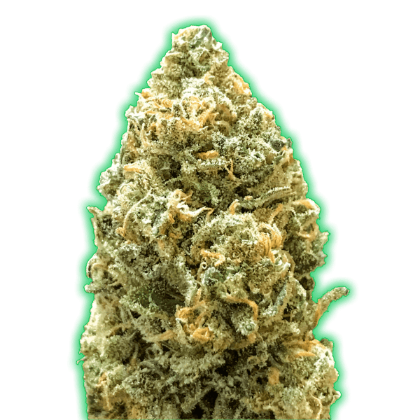 Monster Bruce Banner Auto Feminised Seeds
