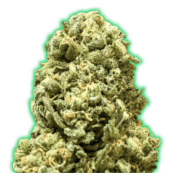 Monster Girl Scout Cookies Feminised Seeds