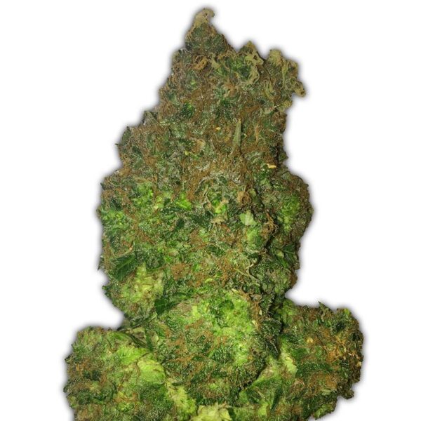 Fruit Punch Auto Feminised Seeds
