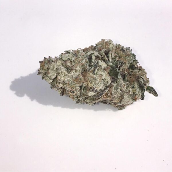 Gorilla Glue #4 S1 Feminised Seeds - 6