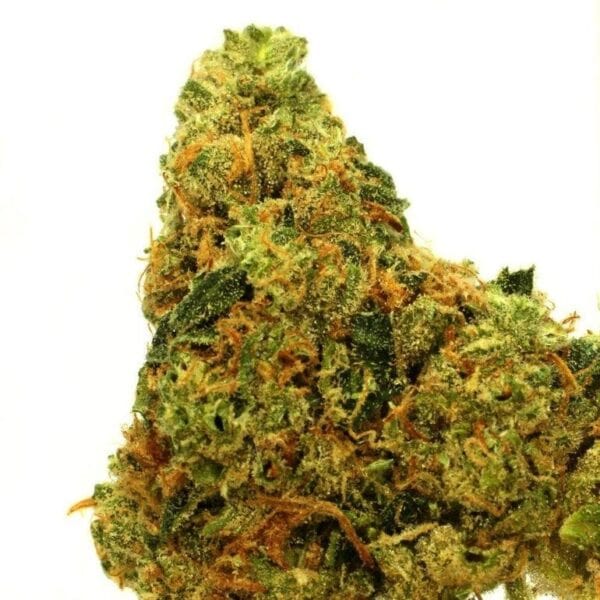 Sour Lemon OG Feminised Seeds