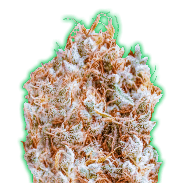 Monster Zkittles Feminised Seeds