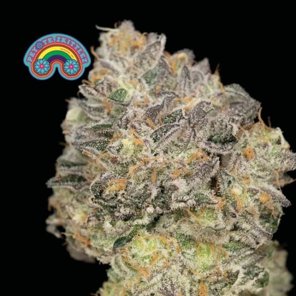 Peyote Zkittlez Feminised Cannabis Seeds by Seedsman