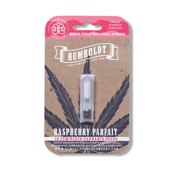 Raspberry Parfait Feminised Seeds - Image 2