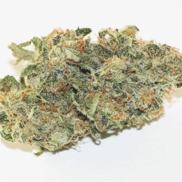Jack the Ripper Feminised Seeds - 5 - Image 2