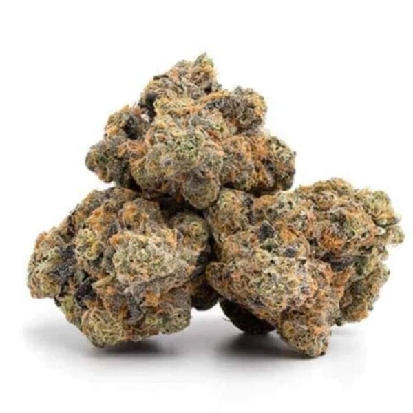 Hasbulla Feminised Cannabis Seeds by Trilogene Seeds