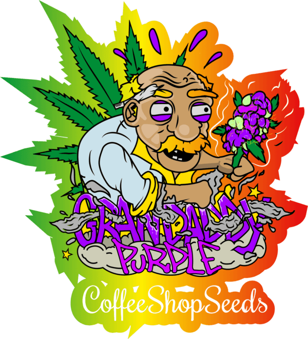 Grandaddy purple
