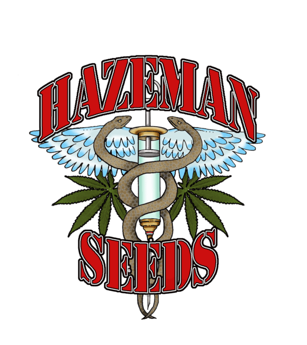Black Russian Regular Seeds - 12