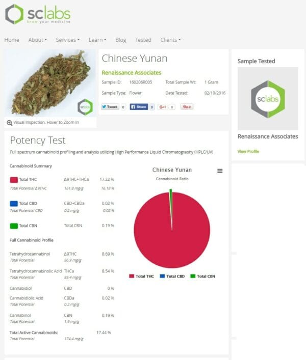 China Yunnan Regular