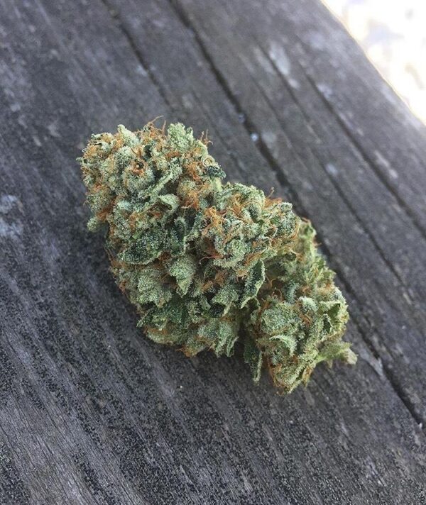 Triangle Glue #4 Feminised Seeds - 5 - Image 2