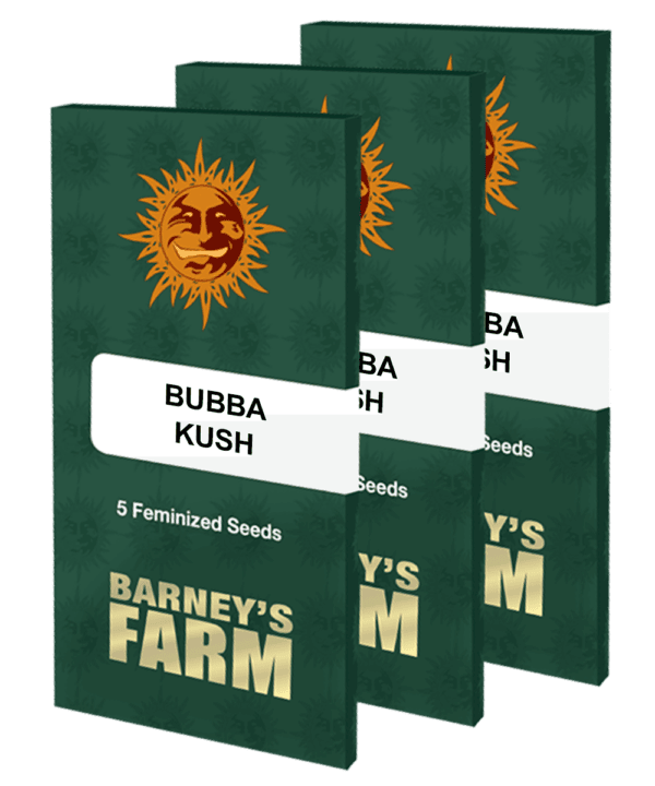 Bubba Kush Feminised Seeds - Image 2