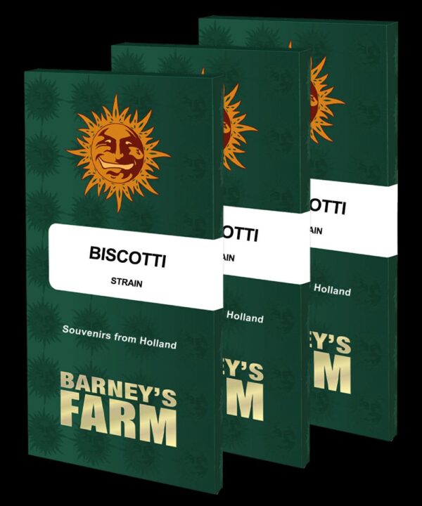 Biscotti Feminised Cannabis Seeds by Barney's Farm