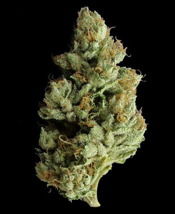 Jesus OG Feminised Seeds - 5 - Image 2