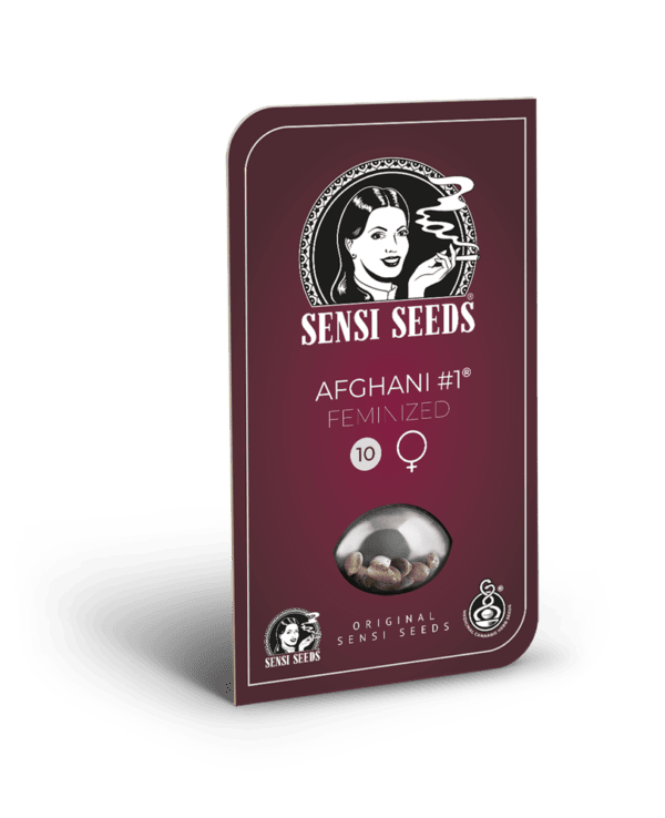 Afghani #1 Feminised Seeds - Image 3