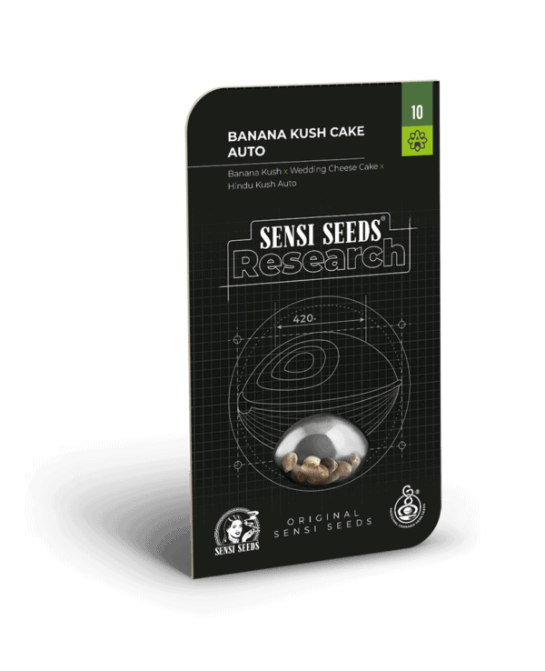Banana Kush Cake Feminised Cannabis Seeds by Sensi Seeds Research