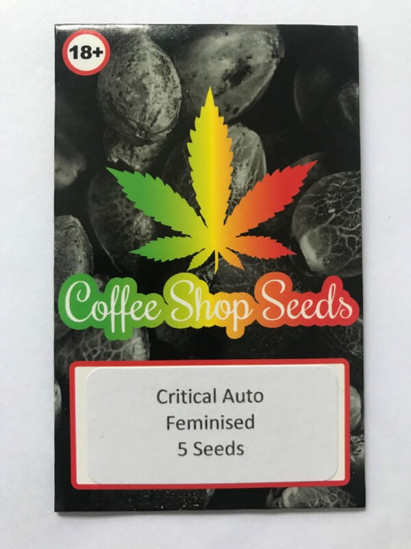 Critical Auto Feminised Seeds - Image 2