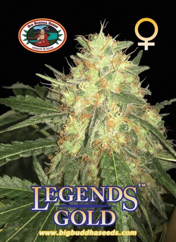 Legends Gold Feminised Seeds