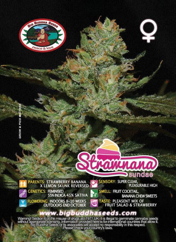 Strawnana Sundae Feminised Seeds
