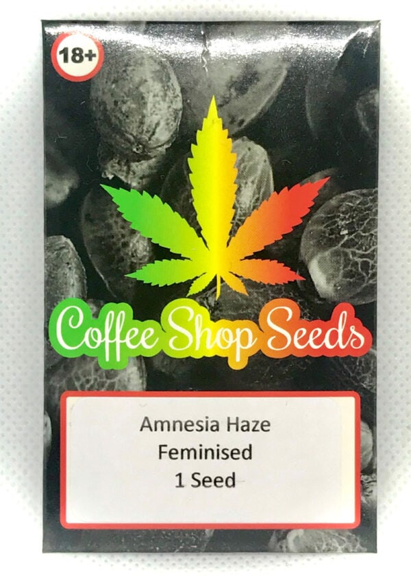 Amnesia Haze Feminised Seeds - Image 2