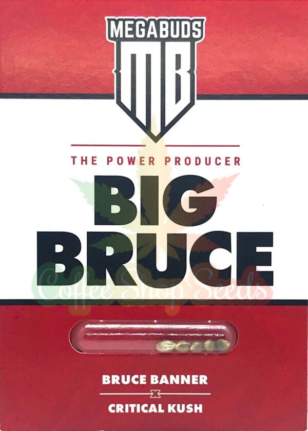 Big Bruce Feminised Seeds - Image 2