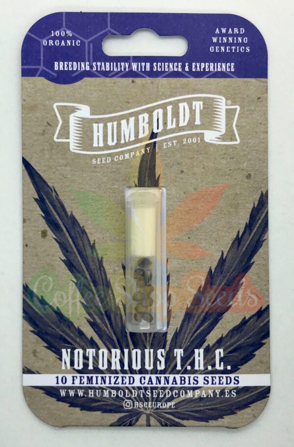 Notorious THC Feminised Seeds - Image 3