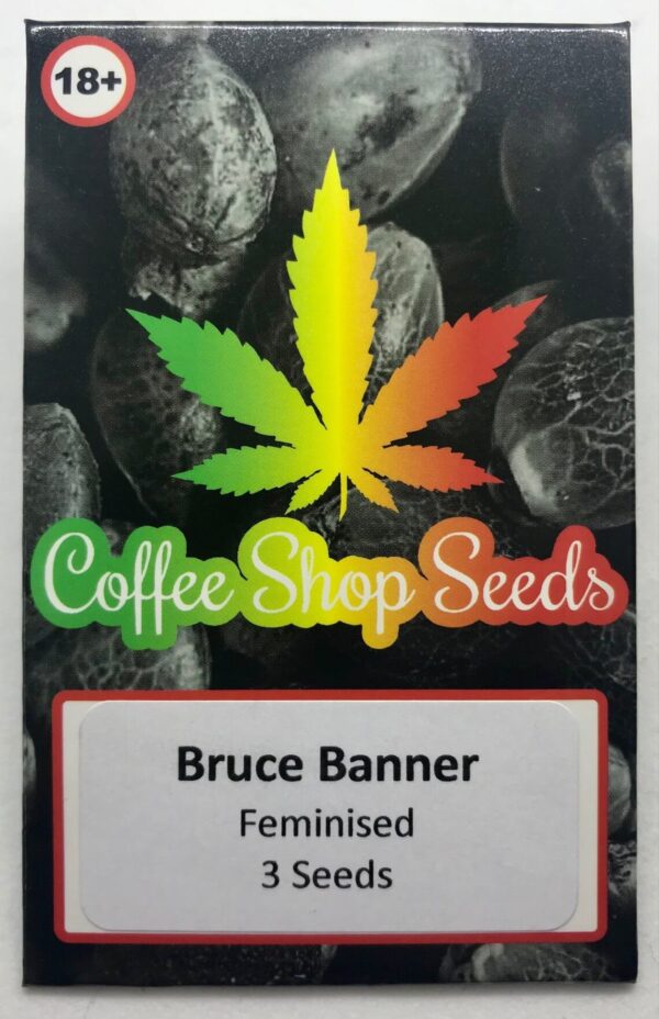 Bruce Banner Feminised Seeds - Image 2
