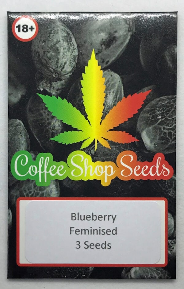 Blueberry Feminised