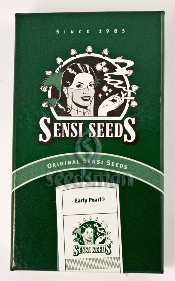 Early Pearl Regular Seeds - Image 2