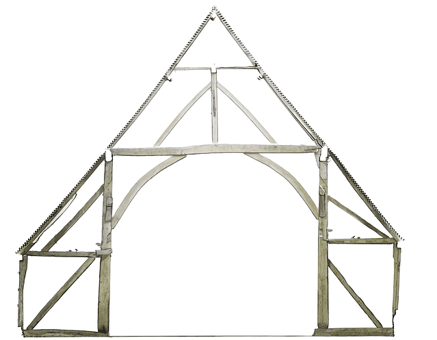 Section of a 3D laser scan point cloud from a 13th century barn showing the wooden stucture detail